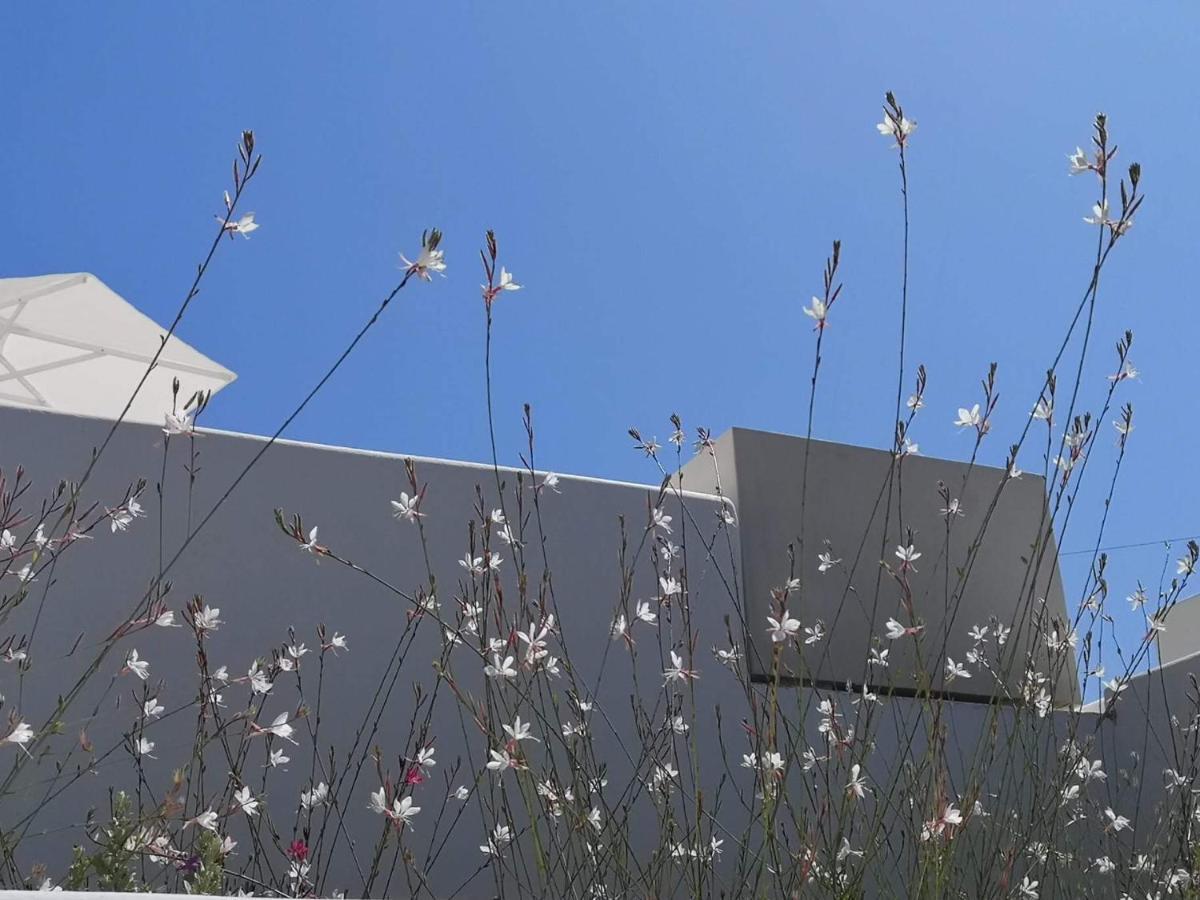 Psathaki Aparthotel Κίμωλος Εξωτερικό φωτογραφία